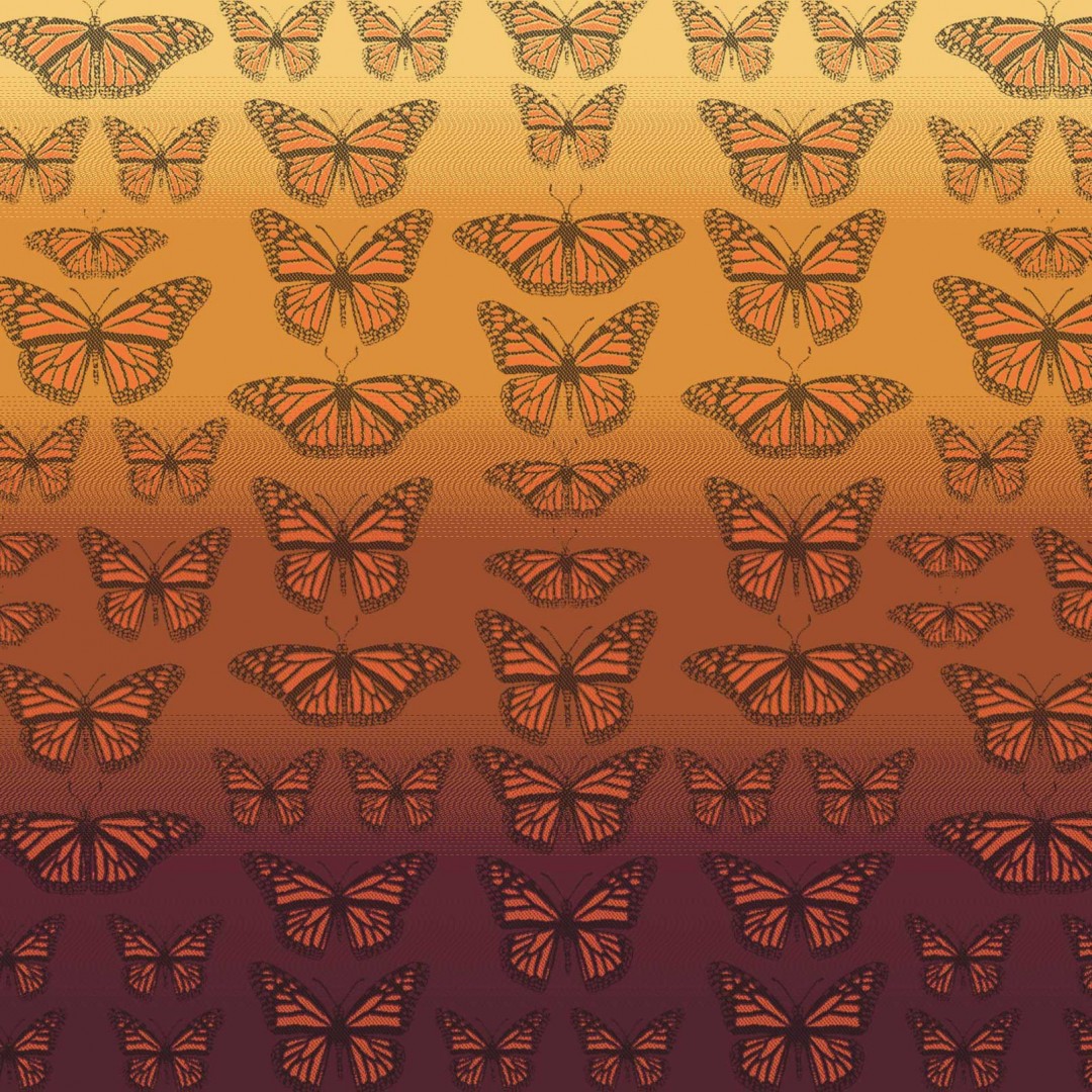 Oscha Papillons - view full list of 8 wrap models